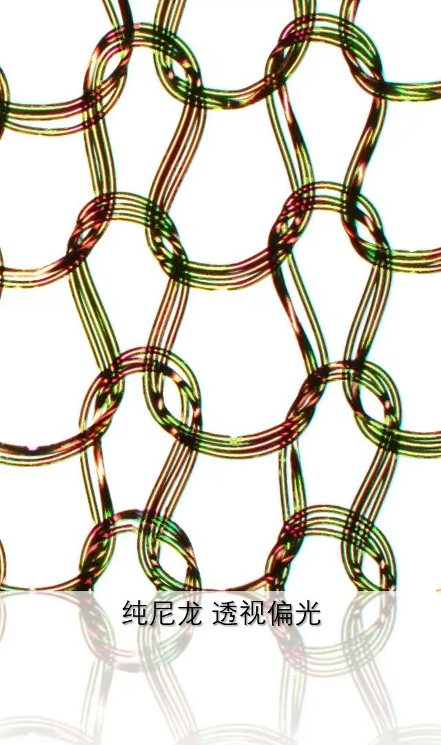 南充蔡司共聚焦显微镜