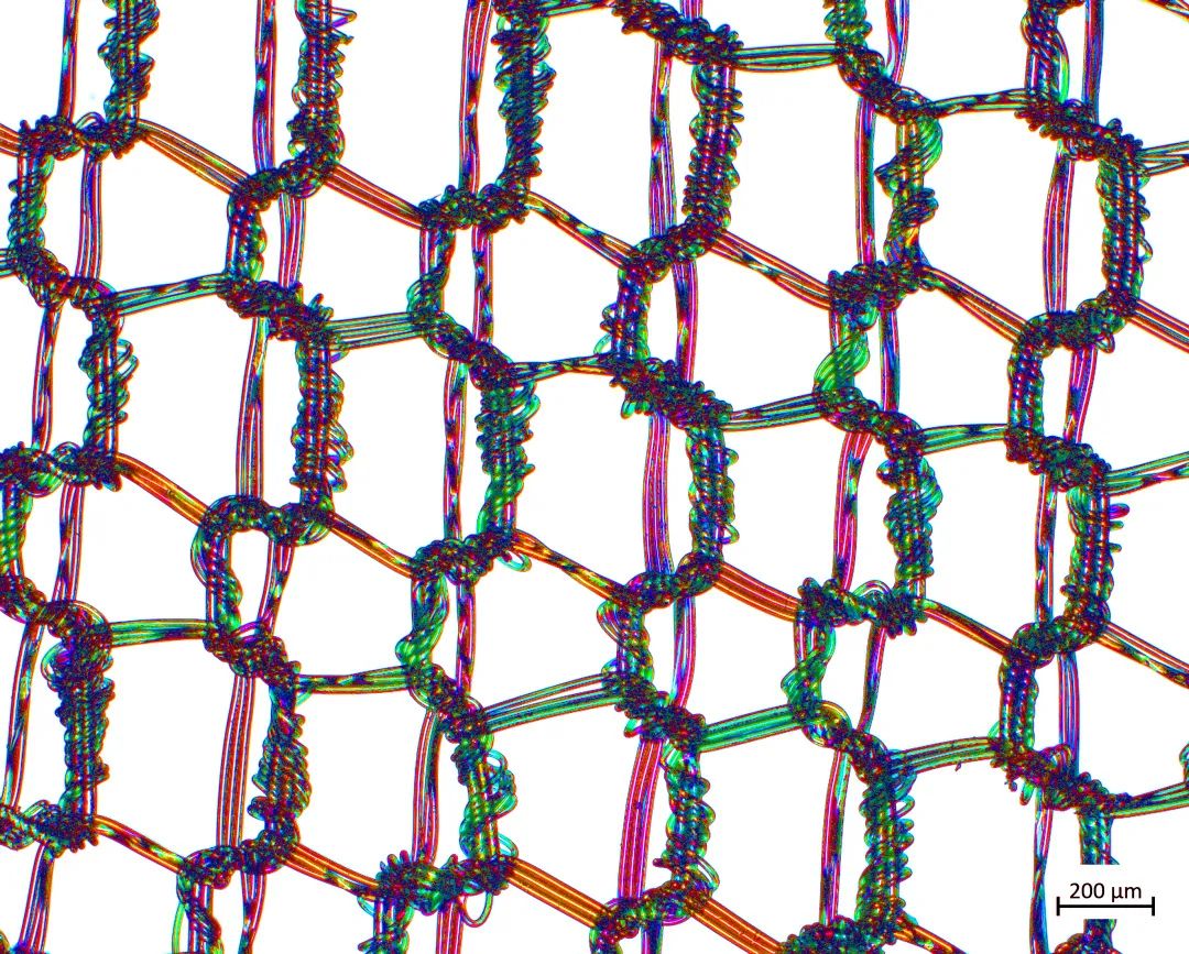 南充蔡司场发射南充扫描电镜
